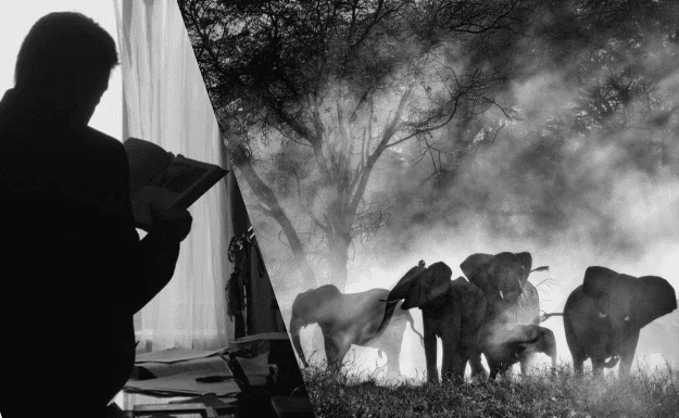 «Ghost Elephants» di Werner Herzog