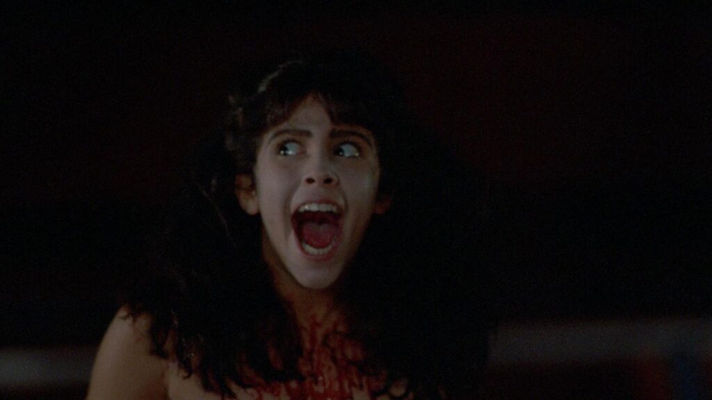 «Sleepaway Camp» di Robert Hiltzik