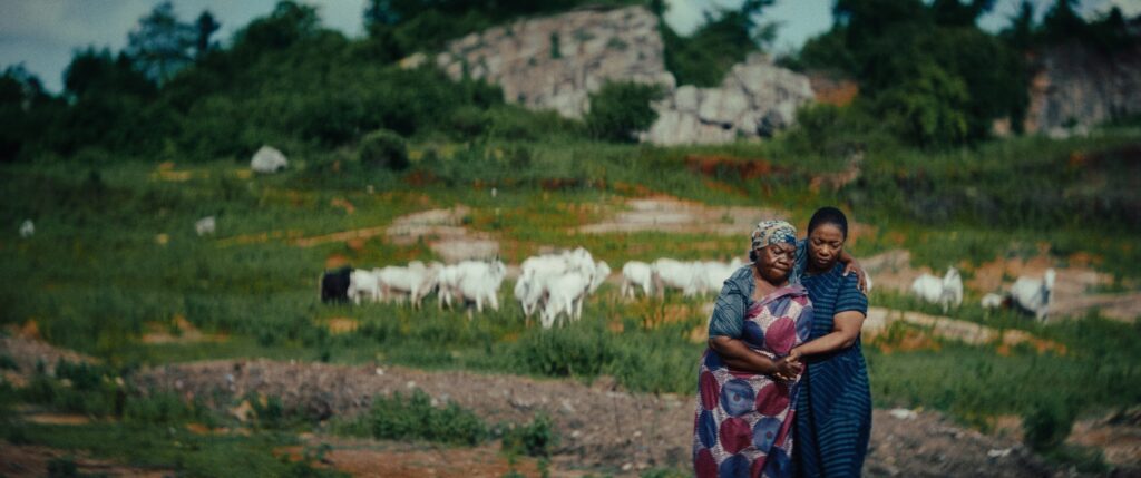 «Dear Ajayi» di Daminola Orimogunje